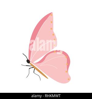 Butterfly on white background for graphic and web design, Modern simple vector sign. Internet concept. Trendy symbol for website design web button or mobile app. Stock Vector