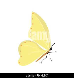 Butterfly on white background for graphic and web design, Modern simple vector sign. Internet concept. Trendy symbol for website design web button or mobile app. Stock Vector