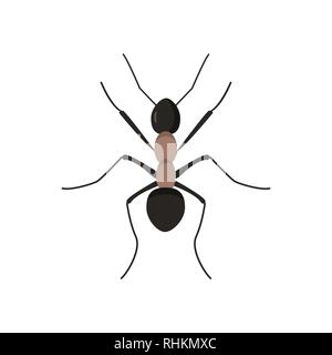 Ant on white background for graphic and web design, Modern simple vector sign. Internet concept. Trendy symbol for website design web button or mobile app. Stock Vector