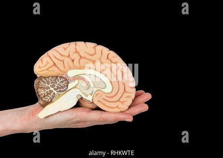 Hand holding left brain hemisphere isolated on black background Stock Photo