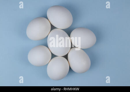 White eggs closeup view isolated on sky blue background Stock Photo