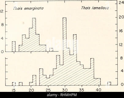 . The Biological bulletin. Biology; Zoology; Biology; Marine Biology. 122 TOM M. SPIGHT CO  i UJ X CO LL O &lt;r UJ QQ. 30 SHELL LENGTH (mm) 40 - 4 0 FIGURE 1. Sizes of shells of two snail species. Shells were worn by hermit crabs and were collected on the shore at Shady Cove on September 20, 1969. (the first snail census date in June) at a rate of 131 shells per 27 days, or 4.8 shells per day. These were available to the 130 crabs present on May 30. Therefore (4.8 X 30)/130 -- 1.12 shells per crab-month were available. Based TABLE I Sizes of shells used by Pagurus granosimanus at Shady Core,  Stock Photo