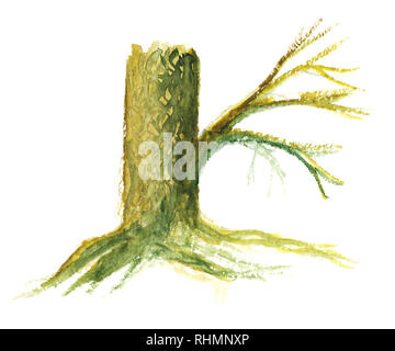 Sketch of tree with shadow Stock Photo - Alamy
