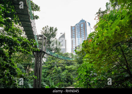 A view of  canopy walk in the KL Forest Eco Park in Kuala Lumpur, Malaysia Stock Photo