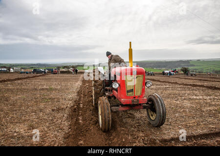 Kilbrittain, Cork, Ireland.3 February 2019. Michael Coomey, Timokeague on his David Brown Seectamatic tractor at the West Cork Ploughing Association ploughing match at Kilbrittain, Co. Cork, Ireland Credit: David Creedon/Alamy Live News Stock Photo