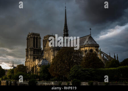 summertime at Notre dame cathedral in Paris, France Stock Photo