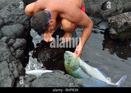 Big fish caught in Hawaii Big Island USA Stock Photo