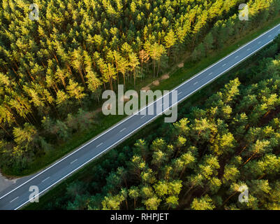 Aerial top down view of autumn forest with two-lane road among pine trees. Beautiful fall scenery near Vilnius city, Lithuania Stock Photo