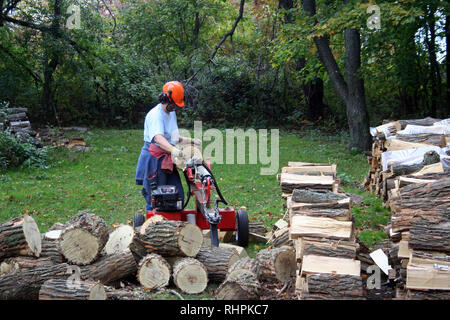 Cutting splitting and hauling firewood Stock Photo