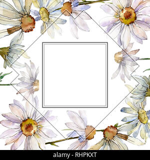 White Daisy Floral Botanical Flower. Watercolor Background Illustration Set. Frame Border Ornament Square Stock Photo - Alamy