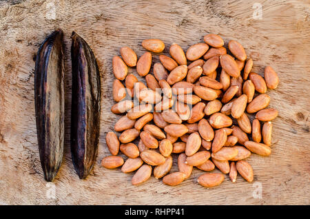 Vainilla beans and raw cocoa seeds Stock Photo