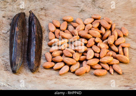 Vainilla beans and raw cocoa seeds Stock Photo
