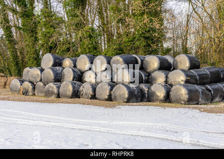 Stacked hay bales during winter covered and wrapped in black plastic for protection Stock Photo