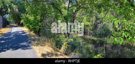 Views of Jordan River Trail with surrounding trees, Russian Olive, cottonwood and silt filled muddy water along the Wasatch Front Rocky Mountains, in Stock Photo