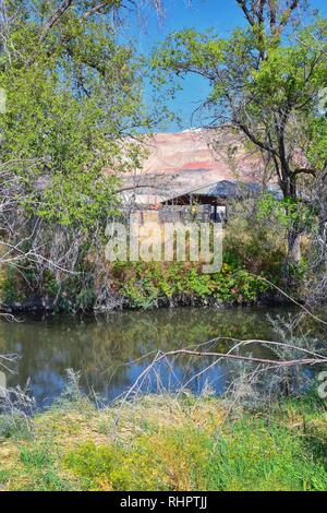 Views of Jordan River Trail with surrounding trees, Russian Olive, cottonwood and silt filled muddy water along the Wasatch Front Rocky Mountains, in Stock Photo