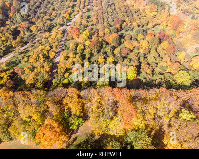 aerial panoramic view of autumnal city park. trees with bright gold foliage Stock Photo