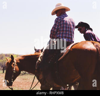 Cowboy on horseback at a Texas ranch during spring round up and branding time Stock Photo