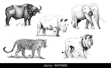 Sketching some ideas ✏️ 🦓🦁🦏🐘🌿 #sketch #illustration #animals  #liontattoo #elephant #nature | Instagram