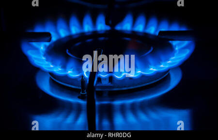 Blue flame of the stove in the kitchen. Gas and energy concept. Stock Photo