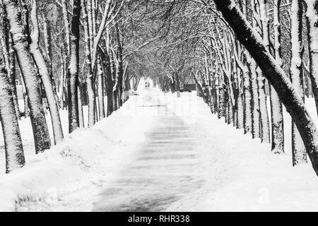 Park alley in winter. Black and white image of a snowy walkway in the park. Winter weather background Stock Photo