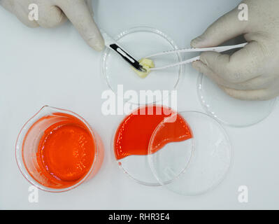 Laboratory assistant conducts experiments, white background Stock Photo