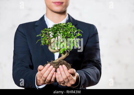 Midsection of young businesswoman holding plant against wall at office Stock Photo