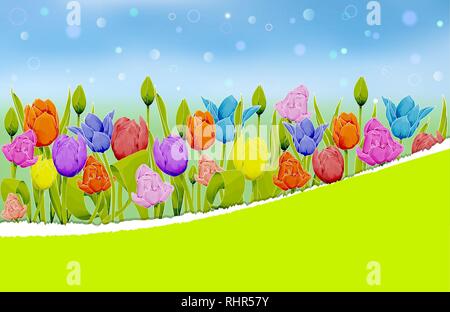 Multicolored tulips on a blurred meadow background. Stylized torn paper for your text. Vector illustration with copy space Stock Vector