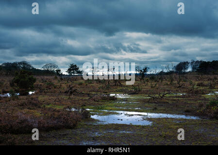 Stormy clouds over New Forest countryside Stock Photo