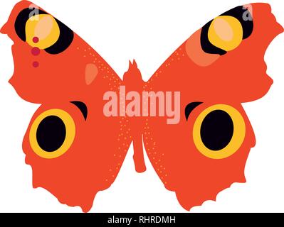 Top view of beautiful monarch butterfly, sketch illustration isolated on white background. color Realistic hand drawing of monarch butterfly on white Stock Vector