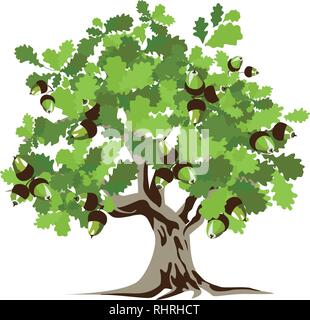 Big green, oak tree, white background, vector illustration Stock Vector