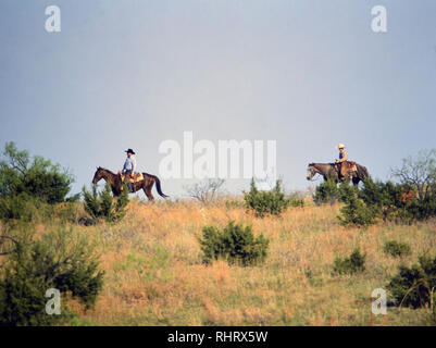 Cowboys searching for calves on a Texas ranch during a spring time round up and branding Stock Photo