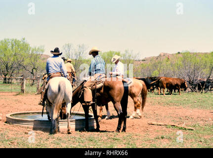 Cowboy on horseback at a Texas ranch during spring round up and branding time Stock Photo