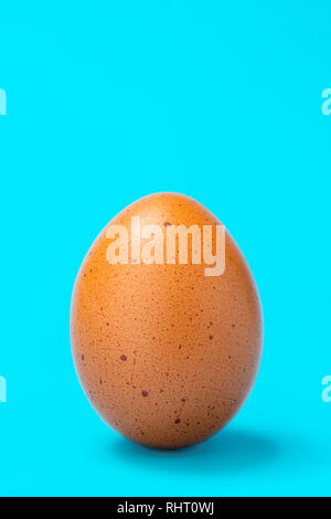 Single speckled brown egg on complementary blue background Stock Photo