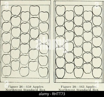 . Better fruit. Fruit-culture. I0I4 BETTER FRUIT Page J?. rjJrUn -150 Apples Standard Box Figure 28—163 Apples Northwest Standard Box Figure 29—1 Northwest Stand Apples ard Box. Please note that these images are extracted from scanned page images that may have been digitally enhanced for readability - coloration and appearance of these illustrations may not perfectly resemble the original work.. Washington State Apple Commission. Hood River, Ore. , Better Fruit Pub. Co Stock Photo