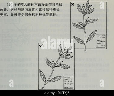 . biao ben guan shou ce. botany. . Please note that these images are extracted from scanned page images that may have been digitally enhanced for readability - coloration and appearance of these illustrations may not perfectly resemble the original work.. Yao Yijian translated. Stock Photo