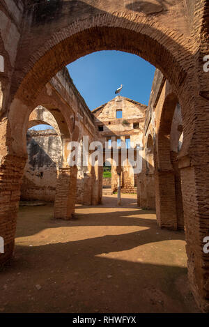 Minaret of the mosque in Chellah or Sala Colonia is a medieval fortified necropolis located in Rabat, Morocco. Park with old ruins and history forum Stock Photo