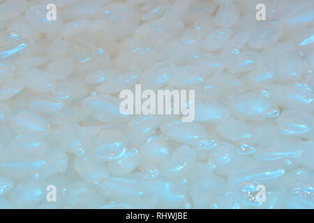 Closeup of compote Candy (or Sugar) Arenga pinnata  - Thai style dessert Stock Photo