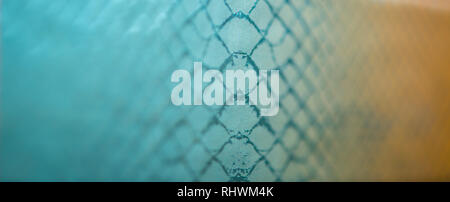 snake skin abstract background texture pattern Stock Photo