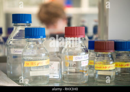 Heidelberg, Germany. 04th Feb, 2019. Bottles of chemicals stand on a shelf. Credit: Sebastian Gollnow/dpa/Alamy Live News Stock Photo