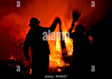 Cuautitlan Izcalli, Mexico. 04th Feb, 2019. Grass fire, property located on the side of the MEX-QRO highway, northbound, at kilometer 39. They went to the place of firefighters of CuautitlÃ¡n Izcalli, ALFA 01, MEGA 10, MEGA 24, with 8 elements, by Lieutenant Héctor Ortiz. (Credit Image: © Omar LopezZUMA Wire) Credit: ZUMA Press, Inc./Alamy Live News Stock Photo