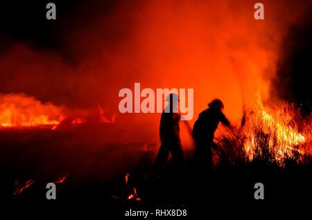 Cuautitlan Izcalli, Mexico. 04th Feb, 2019. Grass fire, property located on the side of the MEX-QRO highway, northbound, at kilometer 39. They went to the place of firefighters of CuautitlÃ¡n Izcalli, ALFA 01, MEGA 10, MEGA 24, with 8 elements, by Lieutenant Héctor Ortiz. (Credit Image: © Omar LopezZUMA Wire) Credit: ZUMA Press, Inc./Alamy Live News Stock Photo