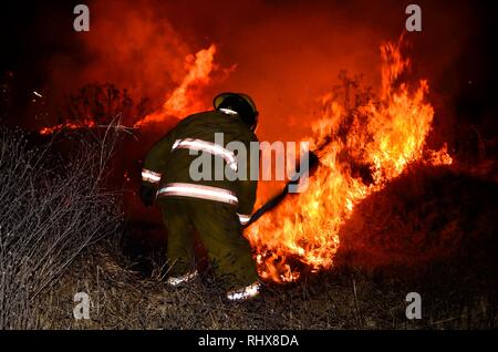 Cuautitlan Izcalli, Mexico. 04th Feb, 2019. Grass fire, property located on the side of the MEX-QRO highway, northbound, at kilometer 39. They went to the place of firefighters of CuautitlÃ¡n Izcalli, ALFA 01, MEGA 10, MEGA 24, with 8 elements, by Lieutenant Héctor Ortiz. (Credit Image: © Omar LopezZUMA Wire) Credit: ZUMA Press, Inc./Alamy Live News Stock Photo