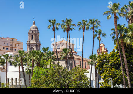 Malaga, Costa del Sol, Malaga Province, Andalusia, southern Spain. View of old Malaga from Calle Alcazabilla.  Cathedral tower on right, San Agustin c Stock Photo