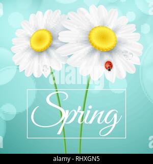 Spring greeting card. Ladybug creeps on the flowers. Realistic chamomile. Glares bokeh. Seasonal flyer for your design. Vector illustration. EPS 10 Stock Vector