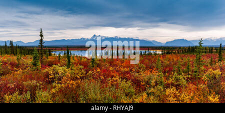 autumn colors captured along Nabesna Road in Wrangell-St.Elias National Park Stock Photo