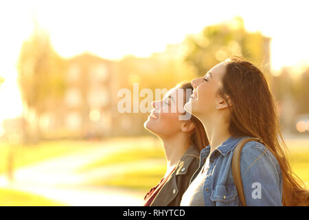 Side view portrait of two happy women breathing fresh air in a park at sunset Stock Photo
