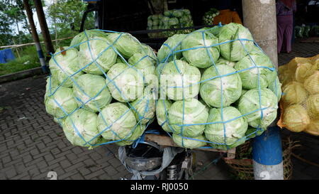 a stack of fresh vegetables ready for consumption Stock Photo