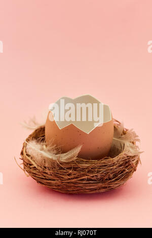 Broken egg in the nest for Easter as a greeting card in front of a pink background Stock Photo