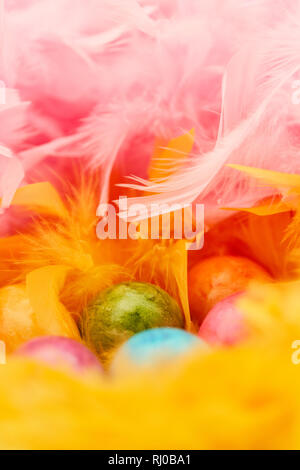 Colorful painted eggs are hidden in a nest of feathers for Easter Stock Photo