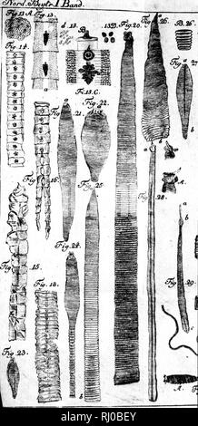 . Neue nordische Beyträge zur physikalischen und geographischen Erd-und Völkerbeschreibung, Naturgeschichte und Oekonomie [microform]. Voyages and travels; Natural history; Voyages; Sciences naturelles. . Please note that these images are extracted from scanned page images that may have been digitally enhanced for readability - coloration and appearance of these illustrations may not perfectly resemble the original work.. Pallas, Peter Simon, 1741-1811. St. Petersburg [Leningrad] und Leipzig : Bey Johann Zacharias Logan Stock Photo